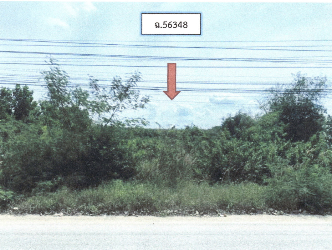 ที่ดินเปล่า สงขลา จะนะ น้ำขาว 154350