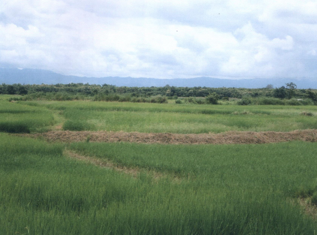 Residential land/lot Lampang Ngao Ban Haeng 236100