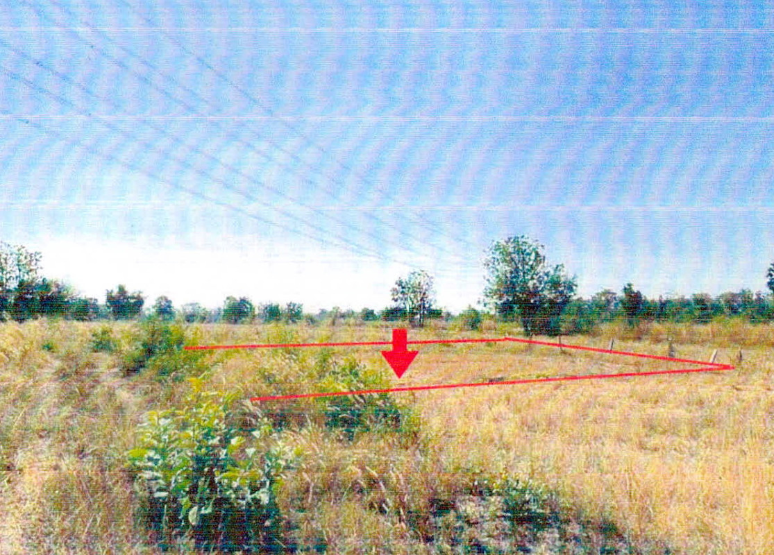 Residential land/lot Chaiyaphum Sap Yai Tako Thong 20000