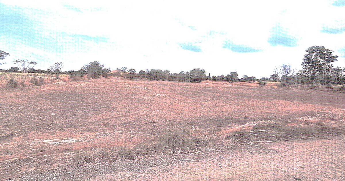 Residential land/lot Chaiyaphum Noen Sa-nga Nong Chim 946660