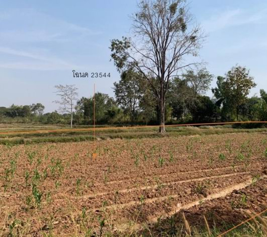 ที่ดินเปล่า ขอนแก่น บ้านฝาง โคกงาม 459450