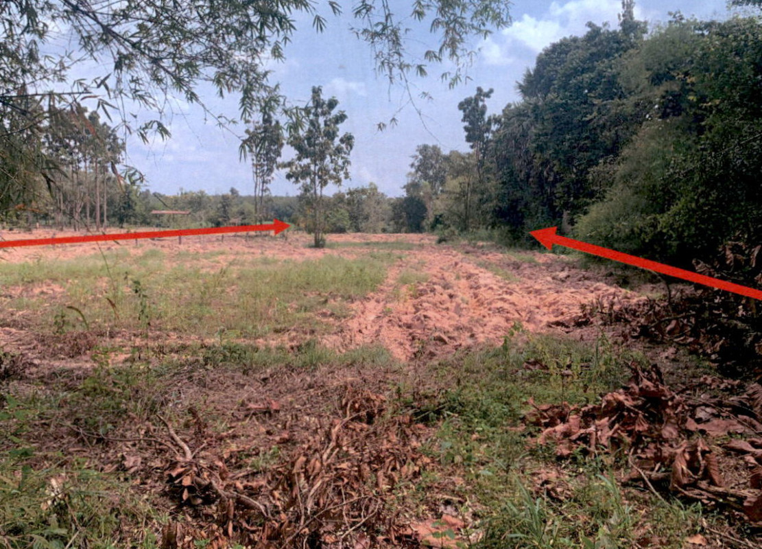 ที่ดินเปล่า กาฬสินธุ์ กุฉินารายณ์ นาโก 293000