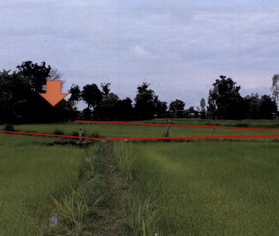 ที่ดินเปล่า สุรินทร์ สำโรงทาบ ศรีสุข 40000