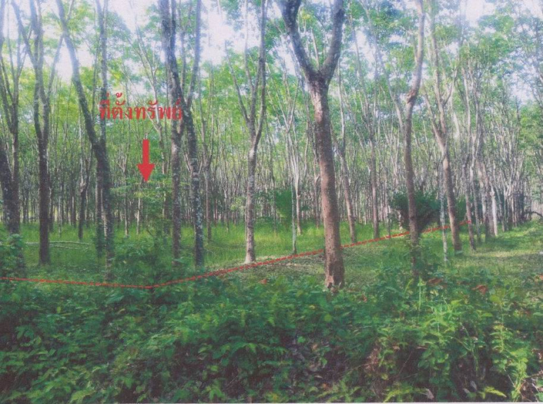 Residential land/lot Nakhon Si Thammarat Na Bon Thung Song 1837000
