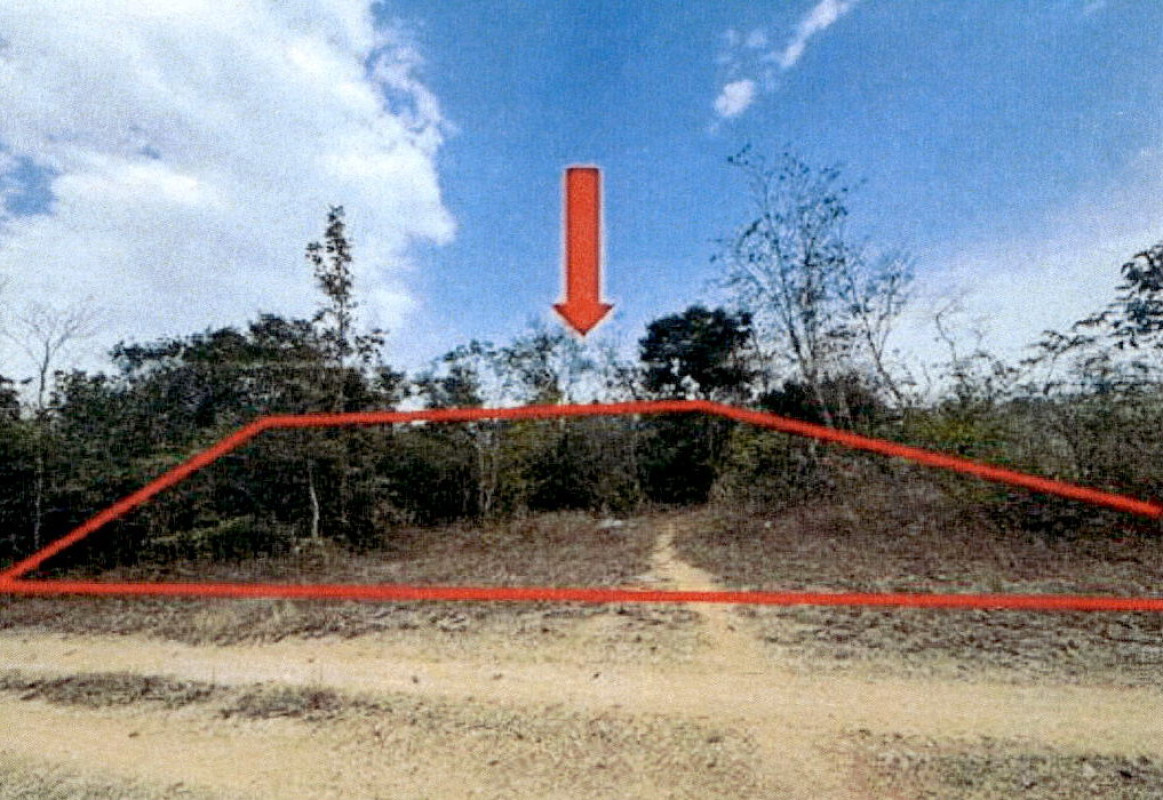 Residential land/lot Lampang Sop Prap Na Yang 537740