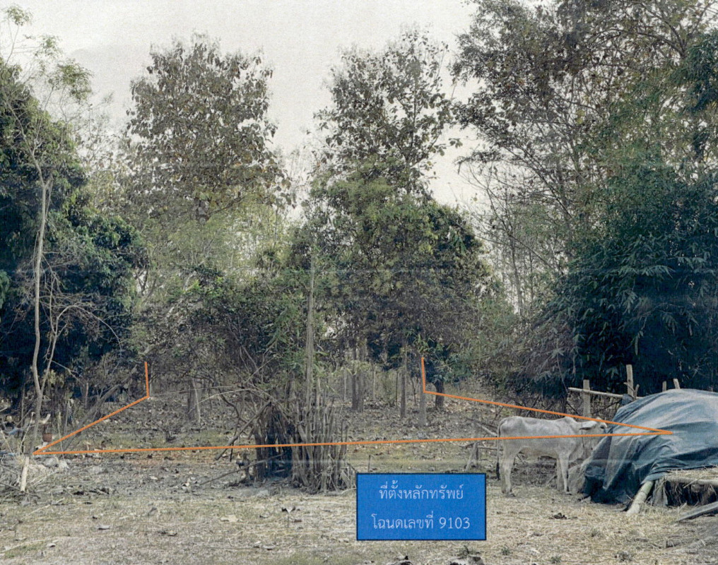 Residential land/lot Lampang Soem Ngam Soem Klang 81600