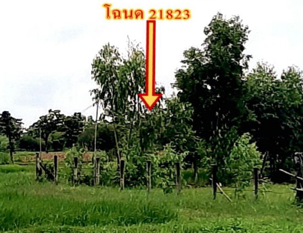 ที่ดินเปล่า อุบลราชธานี เดชอุดม เมืองเดช 214520