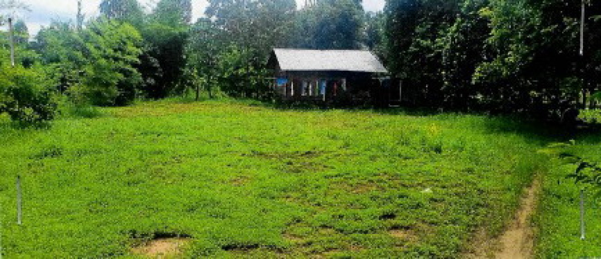 บ้านเดี่ยว กาฬสินธุ์ คำม่วง นาทัน 210000