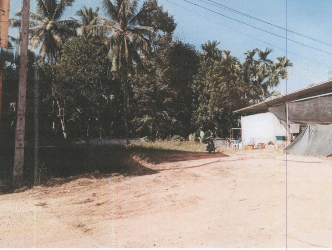 ที่ดินเปล่า พังงา คุระบุรี คุระ 445900