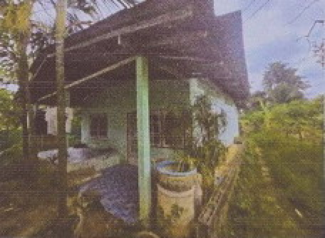 บ้านเดี่ยว ชุมพร เมืองชุมพร วังไผ่ 2353050