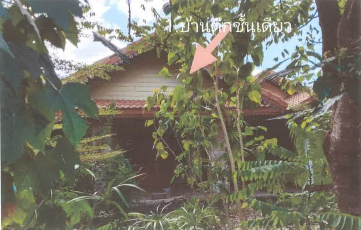 บ้านเดี่ยว เพชรบูรณ์ วิเชียรบุรี บ่อรัง 846100