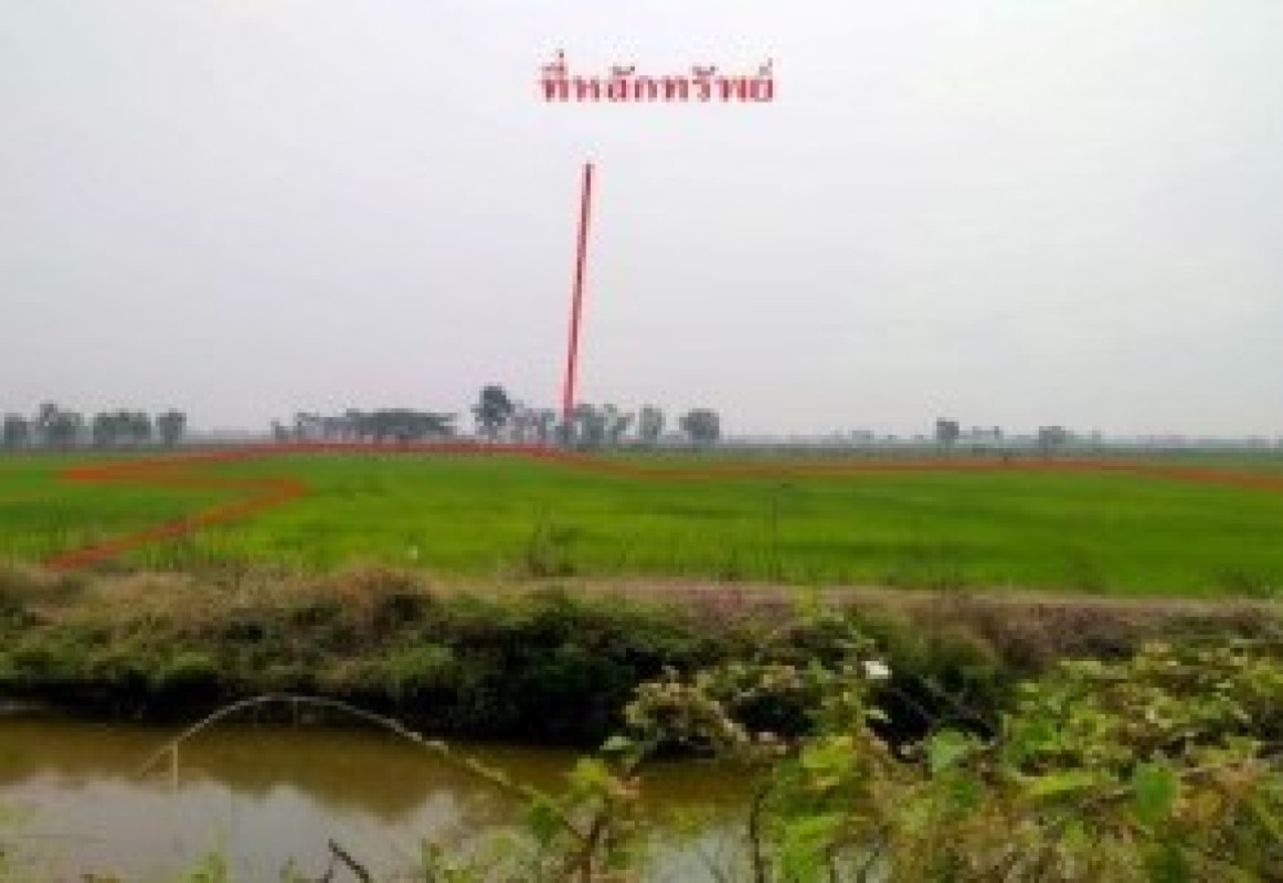 Residential land/lot Phayao Dok Khamtai Sawang Arom 925200