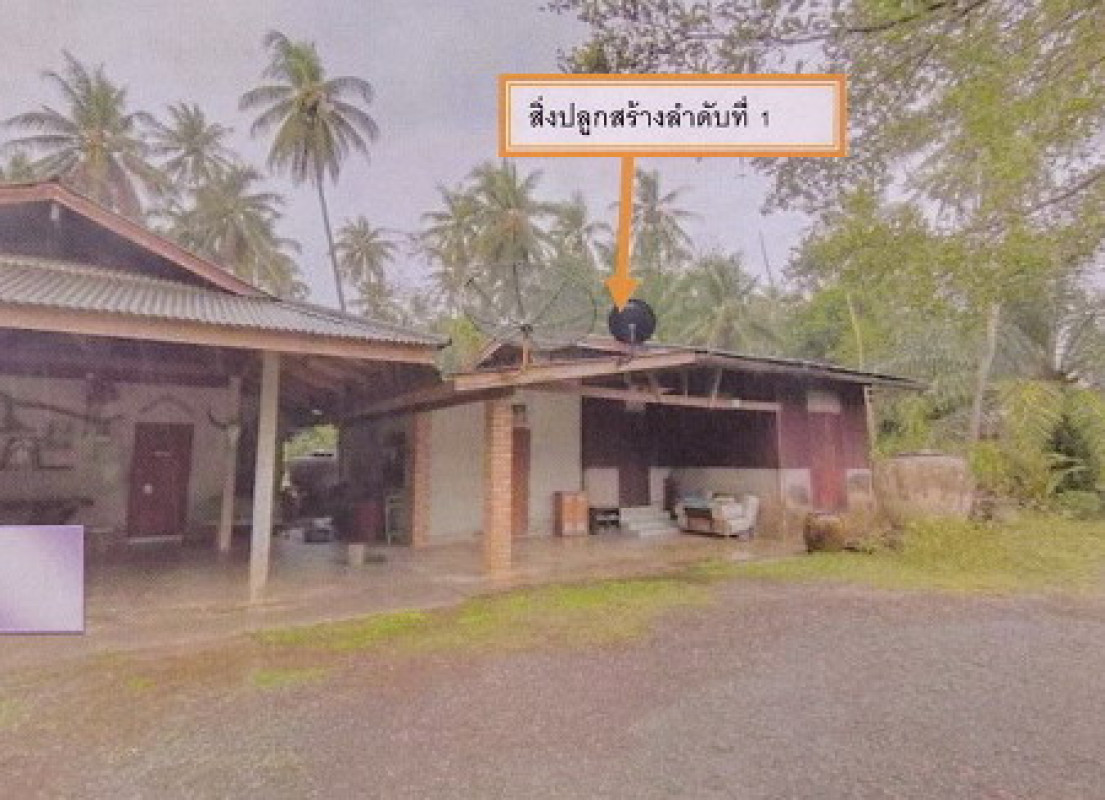 บ้านเดี่ยว ชุมพร เมืองชุมพร วิสัยเหนือ 3461200