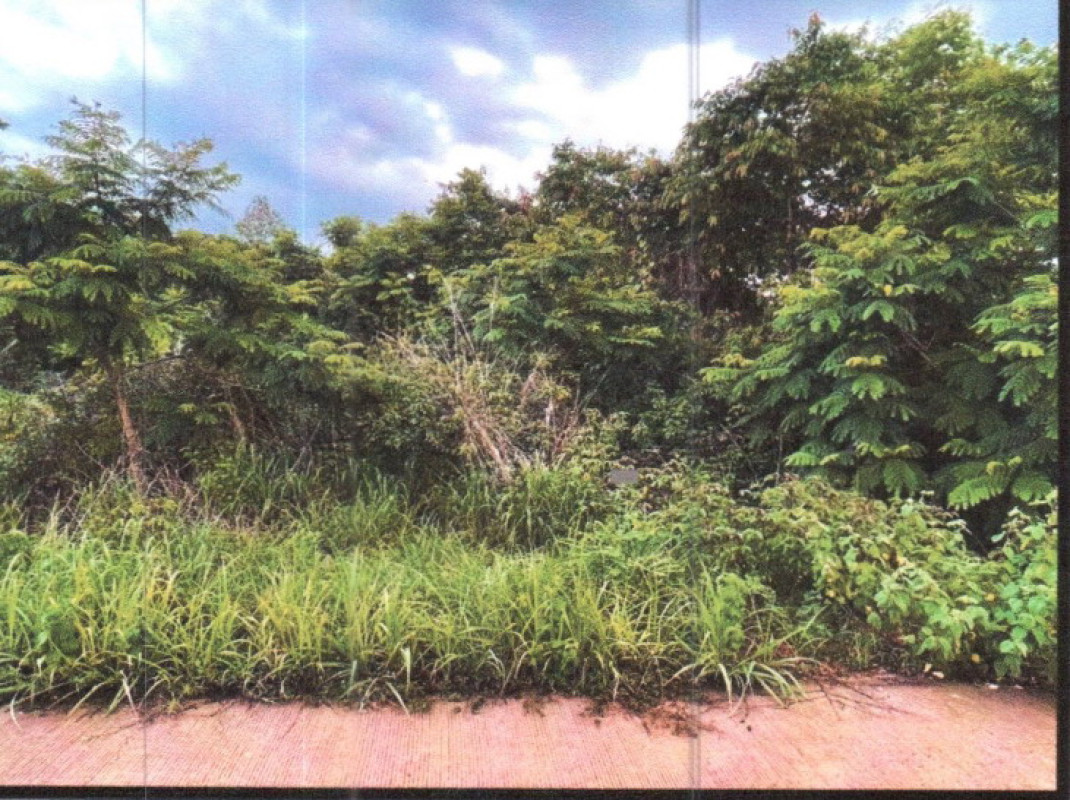 ที่ดินเปล่า สกลนคร เมืองสกลนคร ท่าแร่ 52900