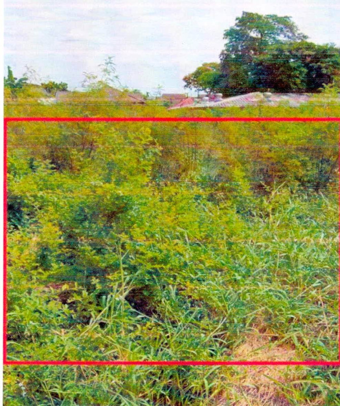 Residential land/lot Chaiyaphum Mueang Chaiyaphum Nai Mueang 1583495