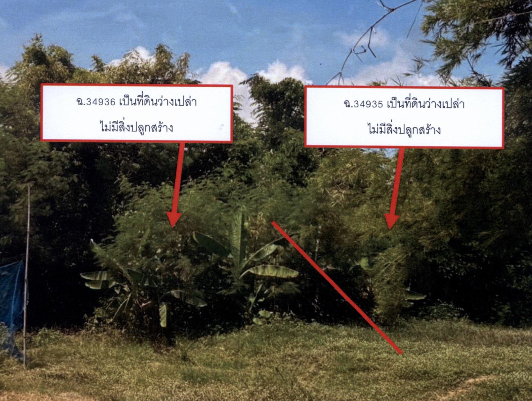 ที่ดินเปล่า สุรินทร์ ชุมพลบุรี ศรีณรงค์ 12400