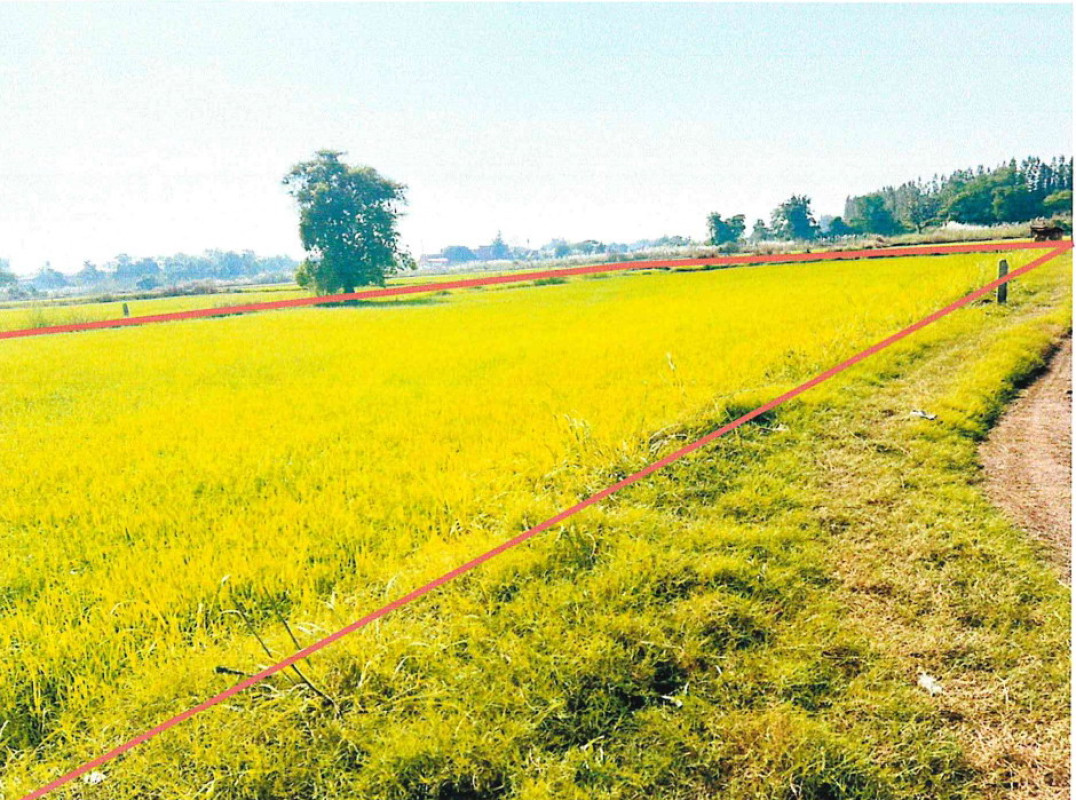 Residential land/lot Sukhothai Mueang Sukhothai Ban Suan 52000