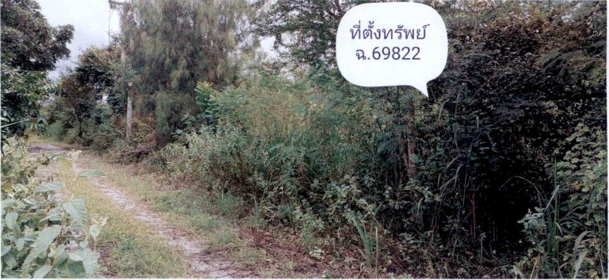 Residential land/lot Phetchaburi Cha-am Rai Mai Phatthana 43560