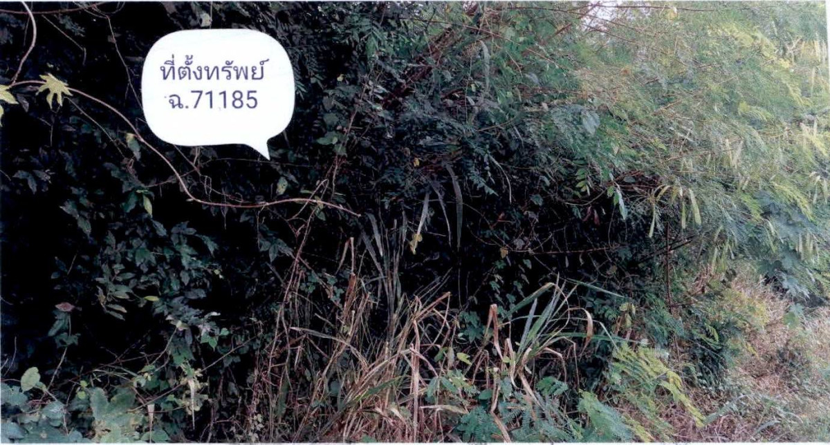 Residential land/lot Phetchaburi Cha-am Rai Mai Phatthana 36600