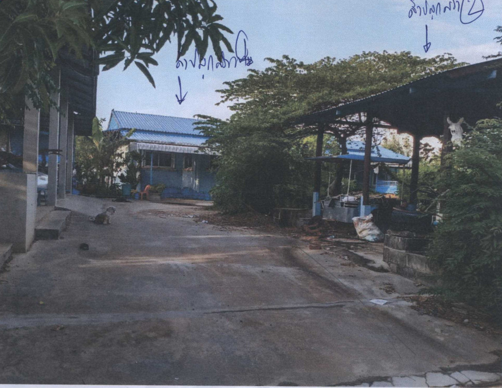 บ้านเดี่ยว นครราชสีมา ประทาย โคกกลาง 841853