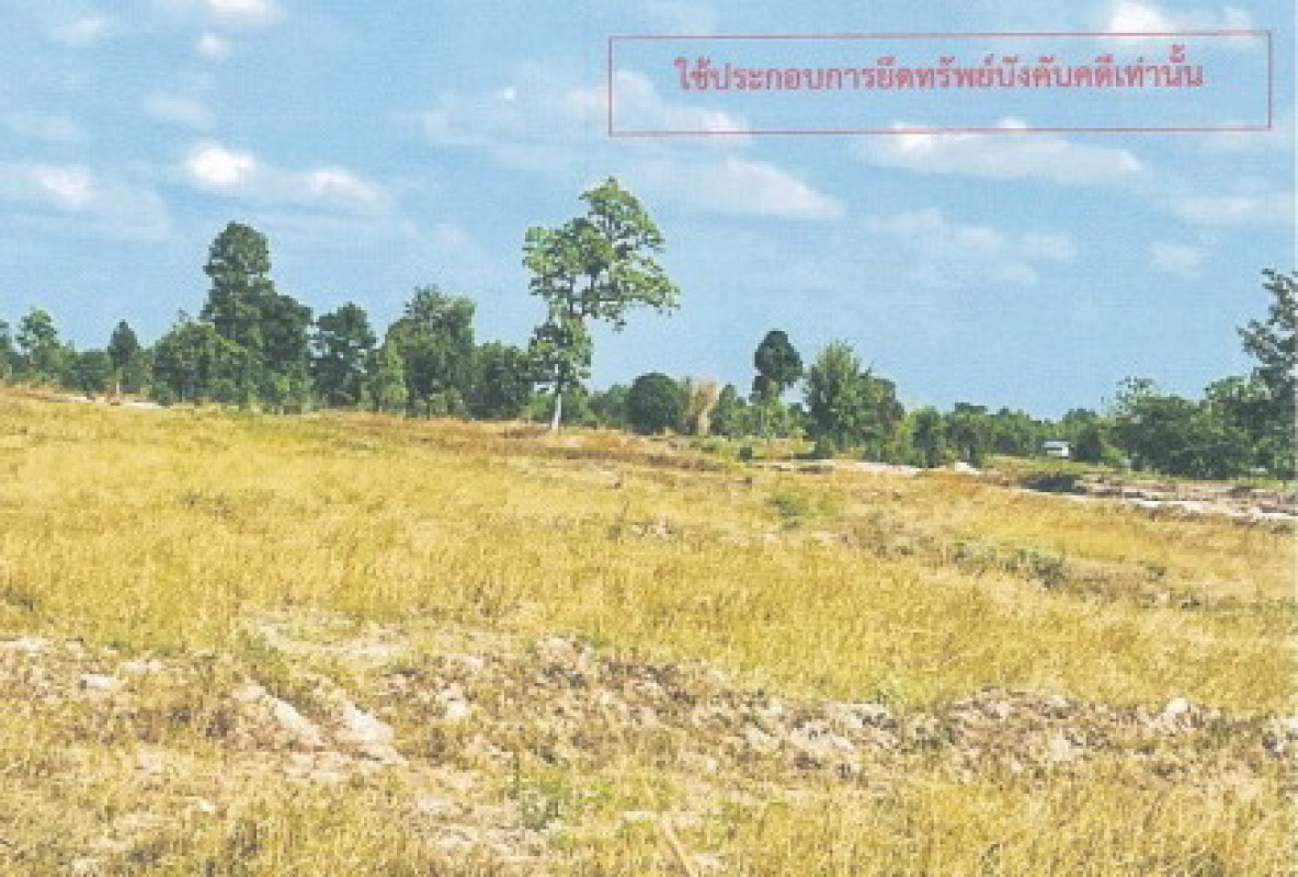 ที่ดินเปล่า กาฬสินธุ์ กุฉินารายณ์ บัวขาว 234000
