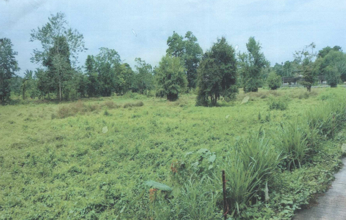 Residential land/lot Nakhon Si Thammarat Tham Phannara Tham Phannara 140000