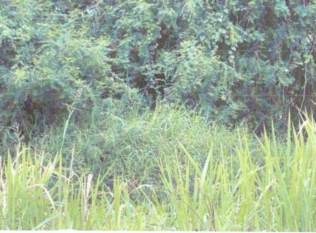 Residential land/lot Nonthaburi Sai Noi Khun Si 217500