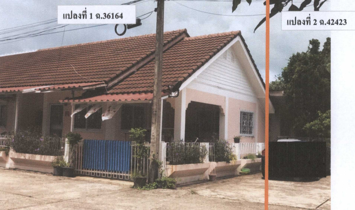 บ้านเดี่ยว สุราษฎร์ธานี เกาะสมุย แม่น้ำ 3222000