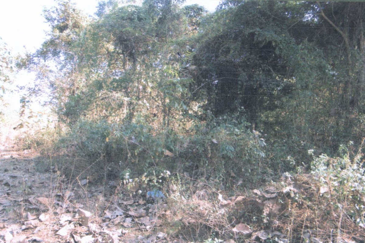 Residential land/lot Lampang Thoen Lom Raet 118300