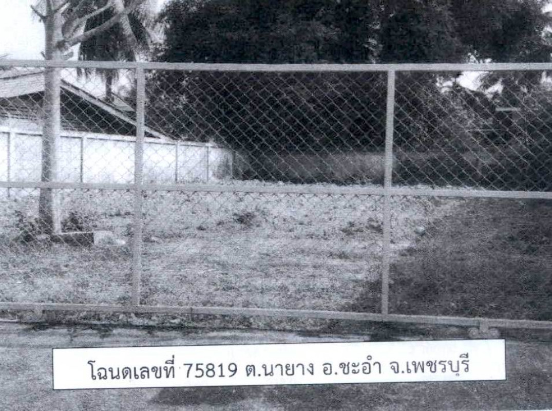 ที่ดินเปล่า เพชรบุรี ชะอำ นายาง 46500