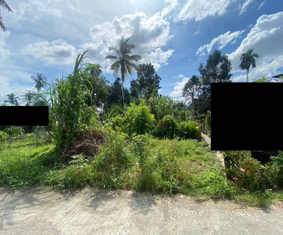 Residential land/lot Nakhon Si Thammarat Thung Yai Tha Yang 398790