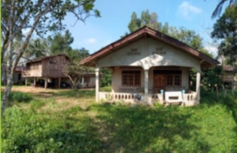 บ้านเดี่ยว ปัตตานี หนองจิก คอลอตันหยง 1170000