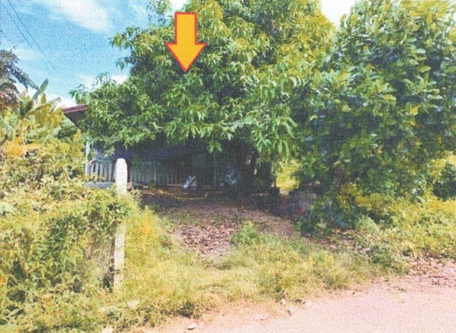 บ้านเดี่ยว เพชรบูรณ์ เมืองเพชรบูรณ์ ป่าเลา 685000