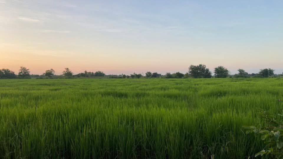 Residential land/lot Nakhon Ratchasima Chaloem Phra Kiat Phraphut 42000000