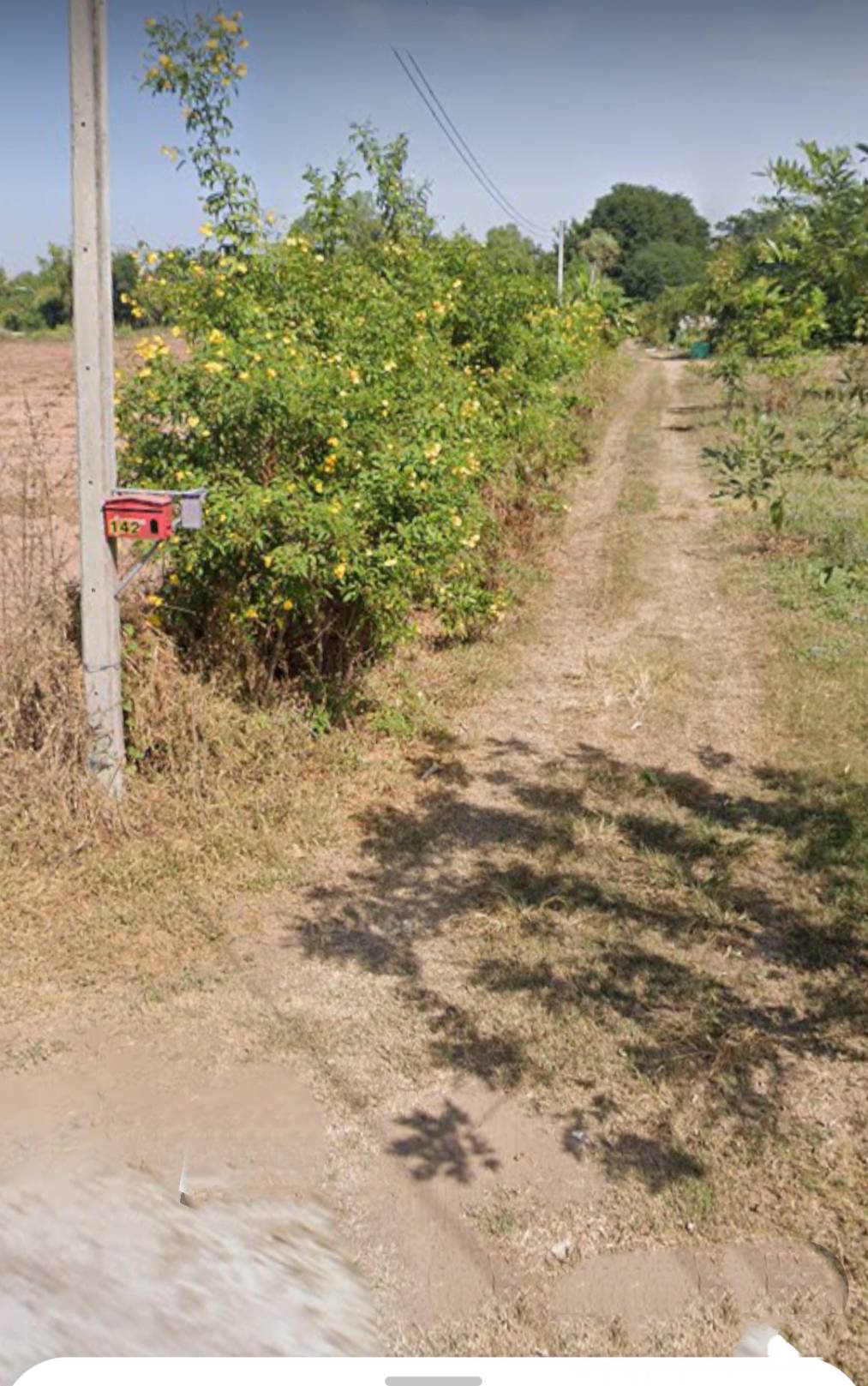 Residential land/lot Nakhon Ratchasima Chaloem Phra Kiat Chang Thong 14791400