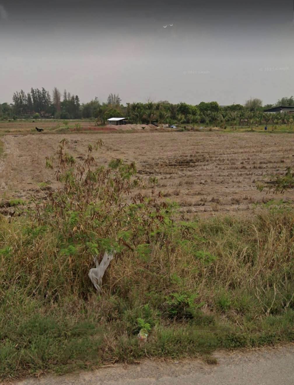 Residential land/lot Nakhon Ratchasima Mueang Nakhon Ratchasima Si Mum 23187500