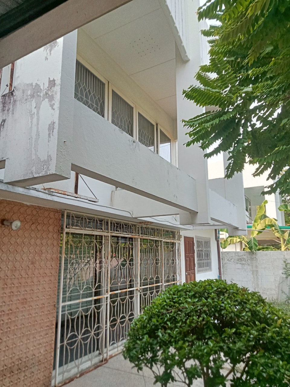 บ้านเดี่ยว เมืองทองนิเวศน์ 1 กรุงเทพมหานคร หลักสี่ ทุ่งสองห้อง 8800000