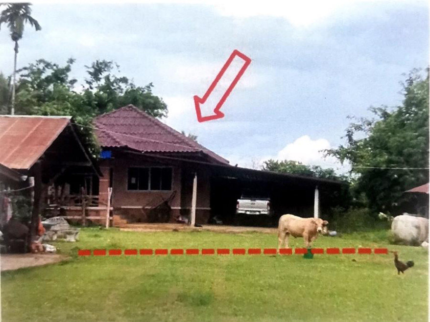 บ้านเดี่ยว พะเยา แม่ใจ บ้านเหล่า 1070000