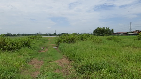 ที่ดินเปล่า กรุงเทพมหานคร หนองจอก โคกแฝด 1400000