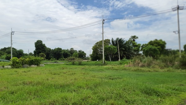 ที่ดินเปล่า กรุงเทพมหานคร หนองจอก โคกแฝด 1400000