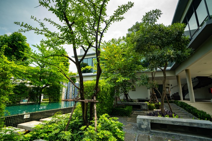 บ้านเดี่ยว ไลฟ์ บางกอก บูเลอวาร์ด ราชพฤกษ์-ปิ่นเกล้า นนทบุรี บางกรวย มหาสวัสดิ์ 6690000