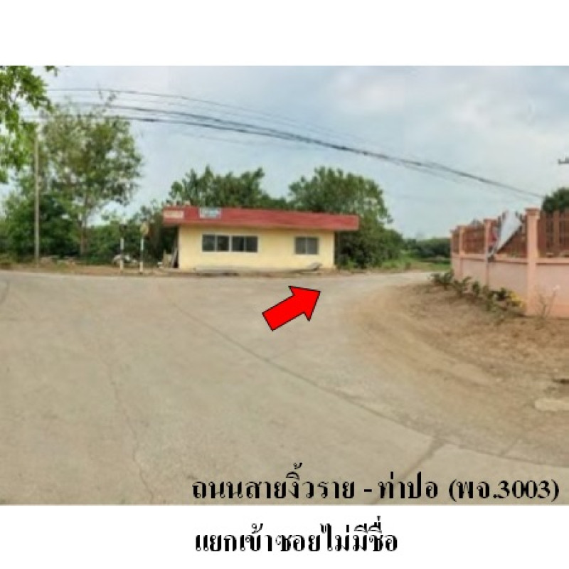 บ้านเดี่ยว พิจิตร ตะพานหิน วังหว้า 1870900