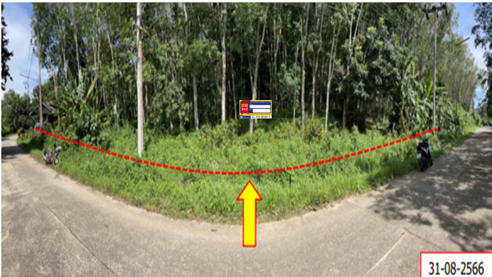 ที่ดินเปล่า พังงา เกาะยาว เกาะยาวน้อย 19526000