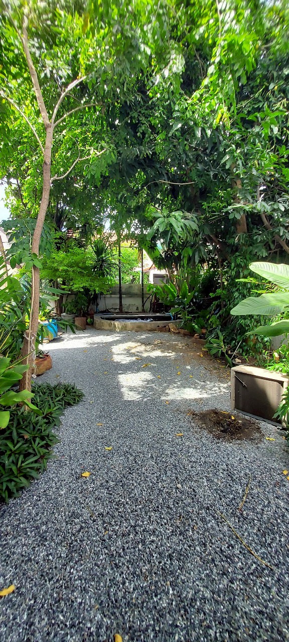 บ้านเดี่ยว เค.ซี.เนเชอรัล วิลล์ รามคำแหง กรุงเทพมหานคร สะพานสูง สะพานสูง 8700000