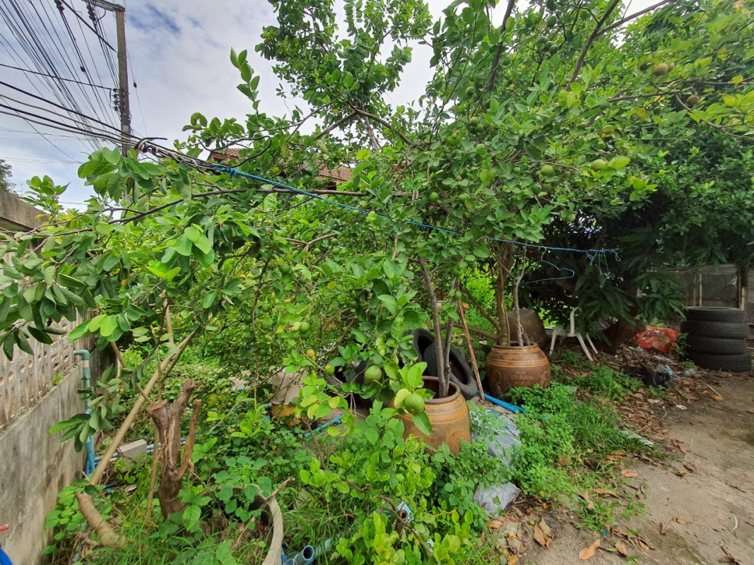 Single house Nonthaburi Bang Kruai Bang Khu Wiang 24000000