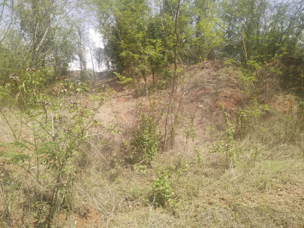 Residential land/lot Nakhon Ratchasima Mueang Nakhon Ratchasima Phut Sa 3161000