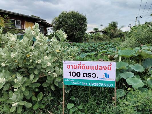 ที่ดินเปล่า ปทุมธานี ลาดหลุมแก้ว คูขวาง 1700000