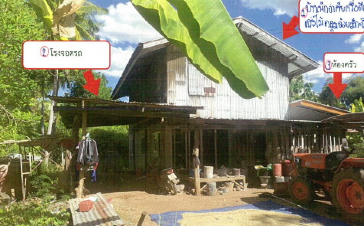 บ้านเดี่ยว เพชรบูรณ์ ชนแดน บ้านกล้วย 725265