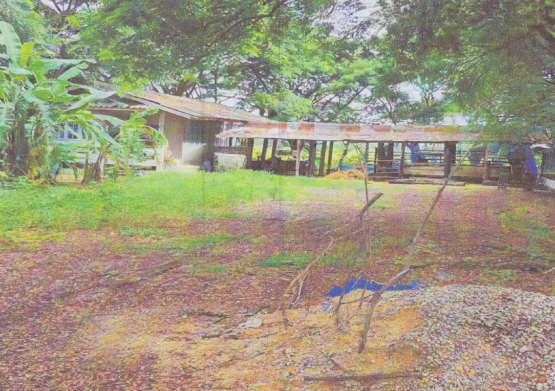 บ้านเดี่ยว พะเยา ดอกคำใต้ สว่างอารมณ์ 493290