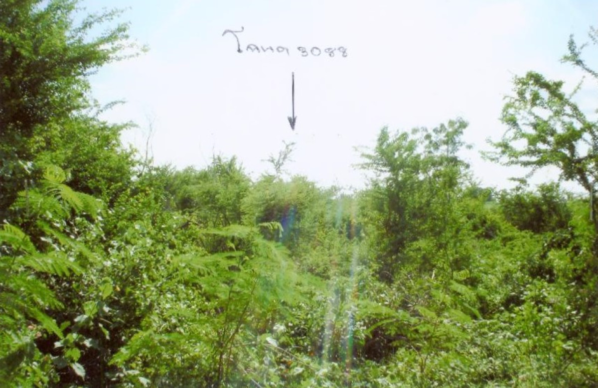 Residential land/lot Nakhon Pathom Kamphaeng Saen Thung Luk Nok 2880000
